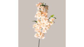 Image of a 006 Floral Stem- Cherry Blossom: Blush
