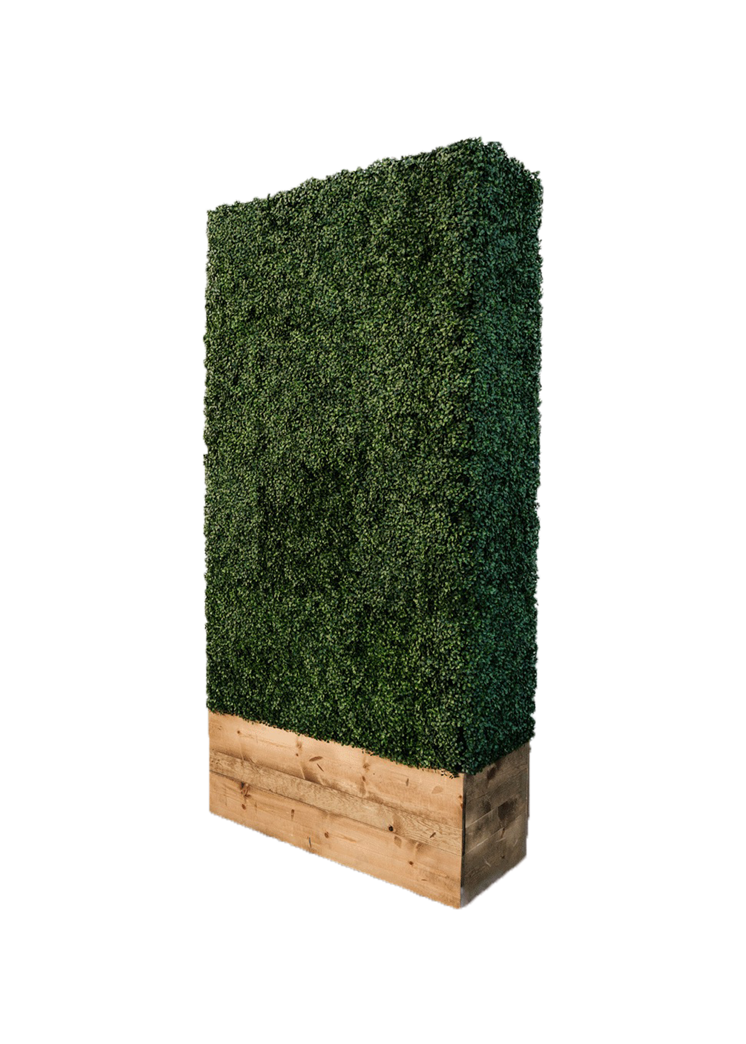 Hedge Wall rentals online 135/day