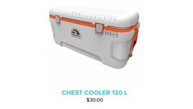 Image of a Chest Cooler 120L