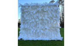 Image of a 3-D White 8 x 8 Feather Backdrop
