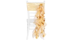 Image of a Gold Organza Long Sash