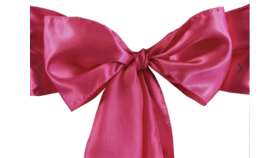 Image of a Hot Pink Satin Sash