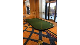 Pro Putt image
