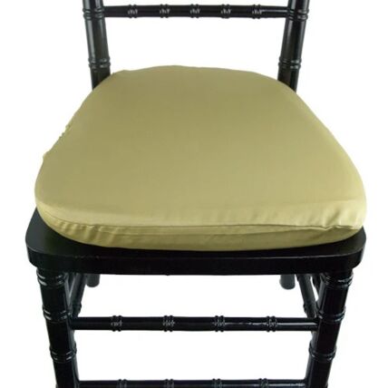 Lamour Satin Olive cushion cover rental