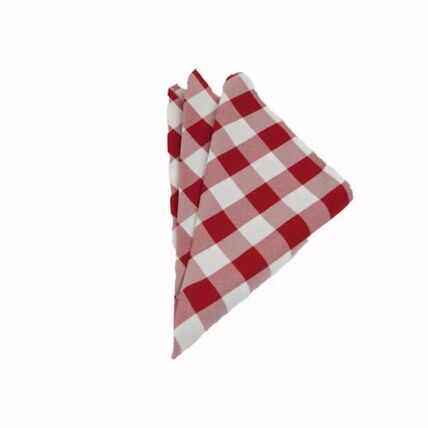 Checkered Poly Red/White napkin rental