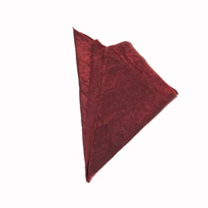 Galaxy Burgundy napkin rental