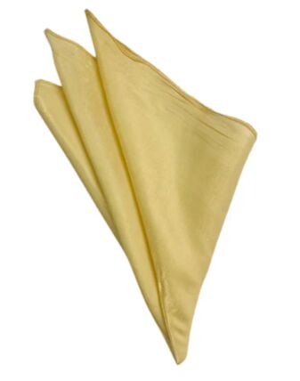 Galaxy Light Gold napkin rental