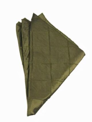 Pintuck Moss napkin rental
