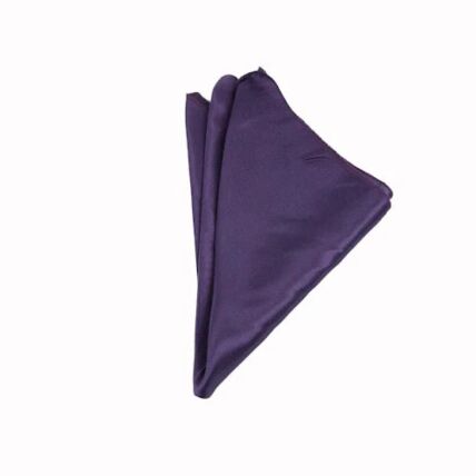 Crepe Back Satin Plum napkin rental