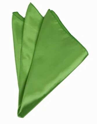 Bridal Satin Green Apple napkin rental