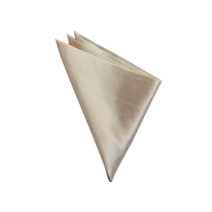 Dupioni Champagne napkin rental