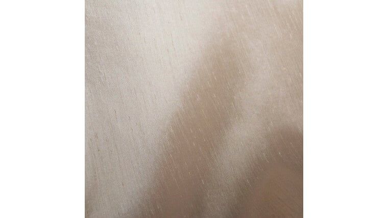 Dupioni Champagne tablecloth linen rental