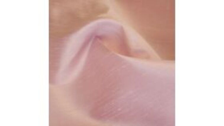 Dupioni Blush tablecloth linen rental