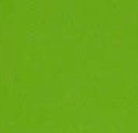 Polyester Lime tablecloth linen rental