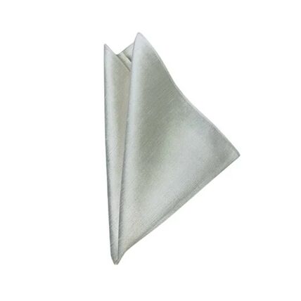Dupioni Bone napkin rental