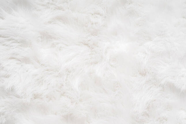 Faux Fur Rug White pillow rental