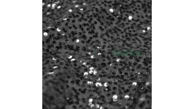 Image of a Black Taffeta Sequin Fabric