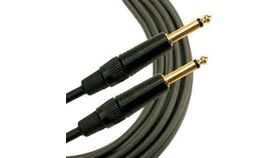 Image of a 10' Quarter Inch Cable