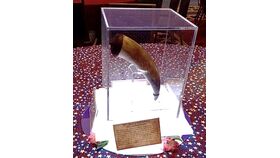 Image of a 18th Century Powder-horn Centerpiece