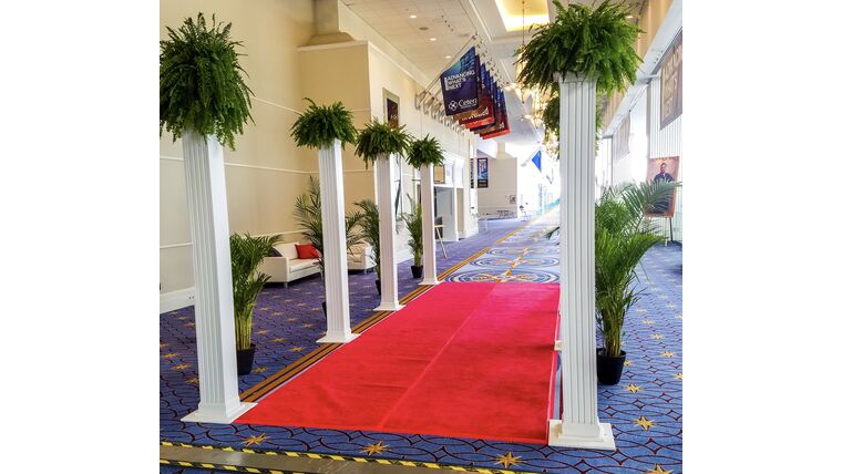 Carpet Runner - Red or Blue : goodshuffle.com