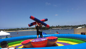 Image of a Inflatable Joust