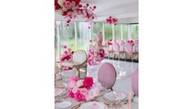 Image of a 24K Blush/Mauve Dining Chairs