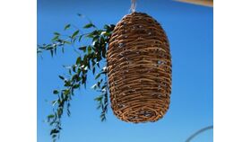 Image of a Basket Lights - Small Oval