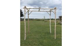 Image of a Birch Chuppah