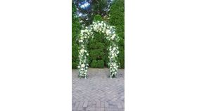 Image of a White Arch