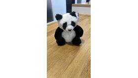 Image of a 2025 CHR / DCS - Promo - Toutou panda / Panda critters
