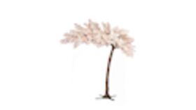 Image of a 11ft Cherry Blossom Tree- Pink