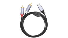 Image of a USB C to RCA
