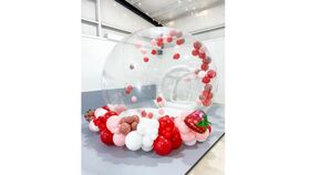 Image of a Bubble House