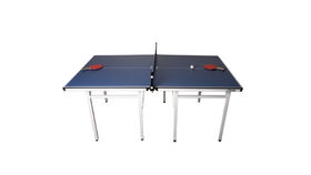 Image of a Games:  Ping Pong Table