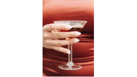 Image of a Cocktail Hour Sound Support
