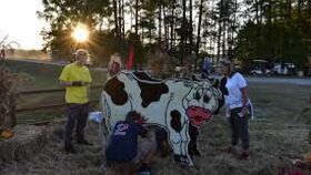 Image of a Cow Milking Contest, Double Sided