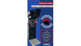 Image of a Boxer Punching | Stand Up Arcade Game