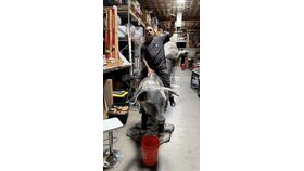 Image of a "Disco" Bull Static Photo Op