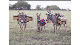 Image of a Boozy Burro (WHSLE)
