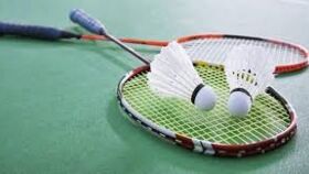 Image of a Badminton