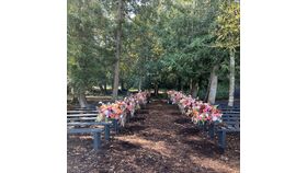 Image of a Black Wood Benches - 10' Long