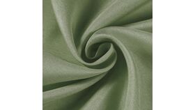 Image of a Napkin: Eucalyptus Sage Green