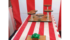Image of a Frog Launch Pads
