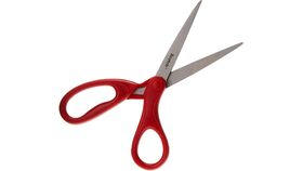 Image of a Scissor