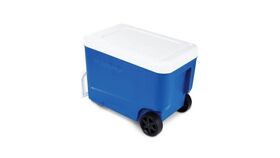 Image of a Cooler