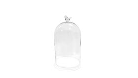 Image of a 22" Glass Bird Cloche | White Bottom