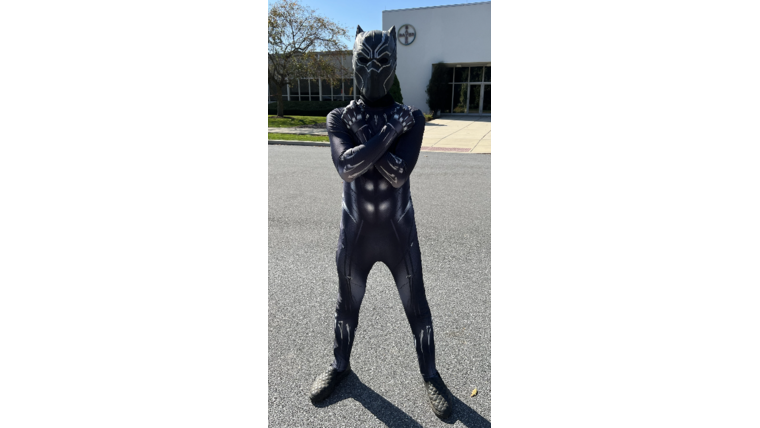 Black Panther Costume : goodshuffle.com
