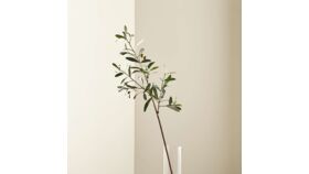 Image of a Faux Olive Stem
