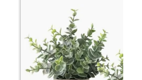 Image of a Artificial Eucalyptus