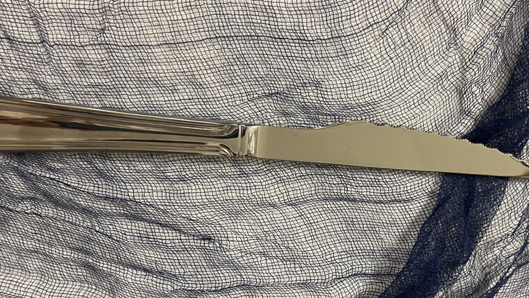Steak Knife Serrated Edge - Silver : goodshuffle.com